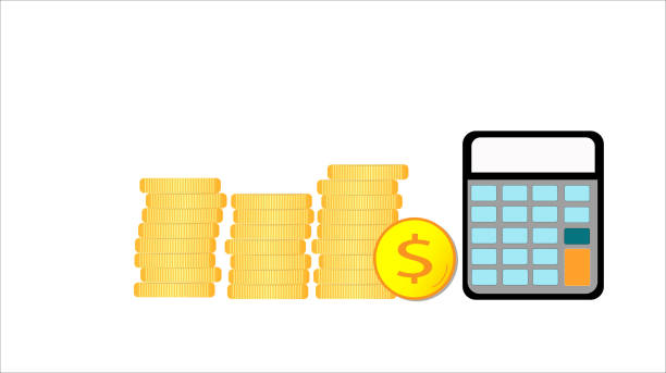 The Financial Consequences of Wage Garnishment