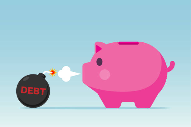 Emergency Expenses and the Hidden Cost of Borrowing